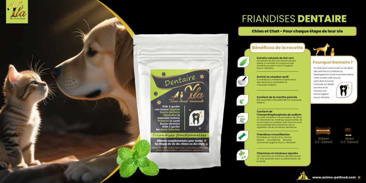 Friandises dentaires pour chiens et chats : prévention de la gingivite et maintien de la santé bucco-dentaire